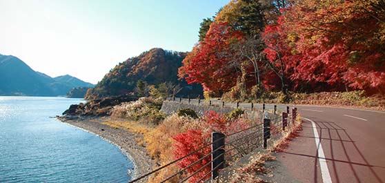 دریاچه کاواگوچیکو - ژاپن