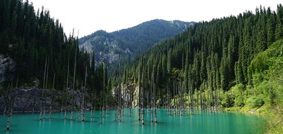  دریاچه کیندی قزاقستان | Lake Kaindy