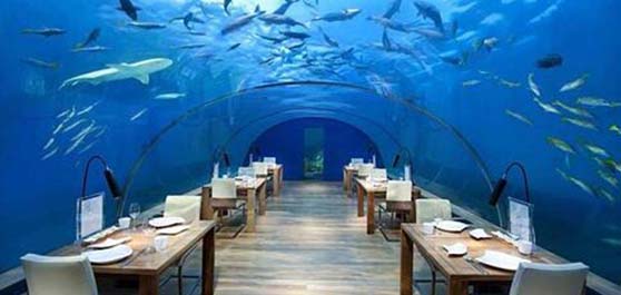 رستوران سابسیکس - مالدیو