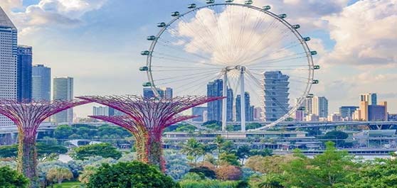چرخ و فلک سنگاپور فلایر | Singapore Flyer Singapore